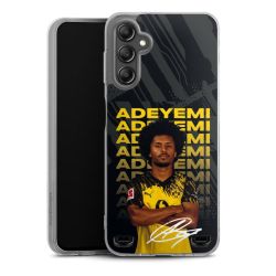 New Carry Case Hülle Transparent