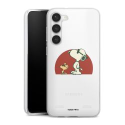 Carry Case Single Transparent