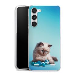 Carry Case Single Transparent