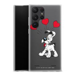 Carry Case Hülle Transparent ohne Band