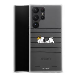 Carry Case Single Transparent