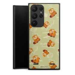 Premium Carry Case Single Matt black