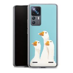 Carry Case Single Transparent