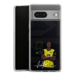 Carry Case Single Transparent