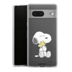 Carry Case Single Transparent