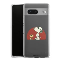 Carry Case Single Transparent