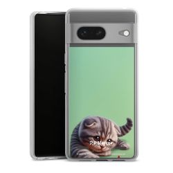 Carry Case Single Transparent