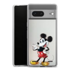 Carry Case Single Transparent