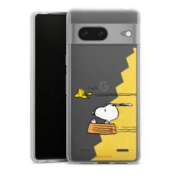 Carry Case Single Transparent