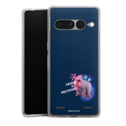 Carry Case Single Transparent