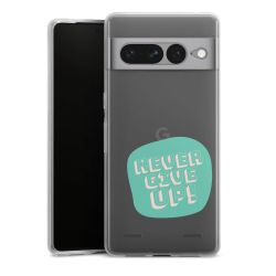 Carry Case Single Transparent