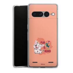 Carry Case Single Transparent