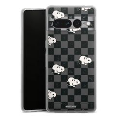 Carry Case Single Transparent