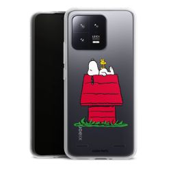 Carry Case Single Transparent