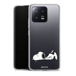 Carry Case Single Transparent