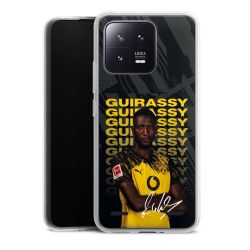 Carry Case Single Transparent