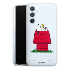 New Carry Case Hülle Transparent