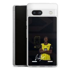 Carry Case Single Transparent