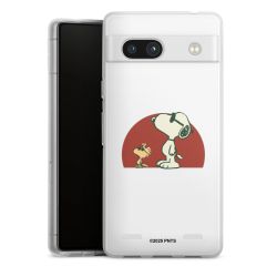 Carry Case Single Transparent