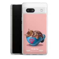 Carry Case Single Transparent