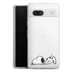 Carry Case Single Transparent