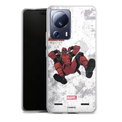 New Carry Case Hülle Transparent