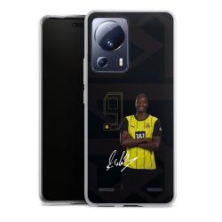 New Carry Case Hülle Transparent