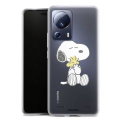 New Carry Case Hülle Transparent