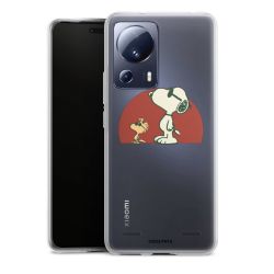 New Carry Case Hülle Transparent