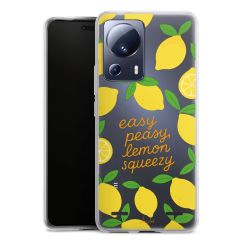 New Carry Case Hülle Transparent