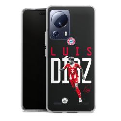 New Carry Case Hülle Transparent