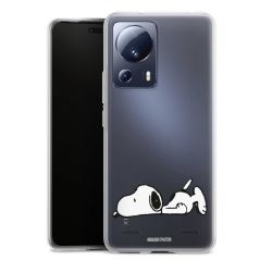 New Carry Case Hülle Transparent