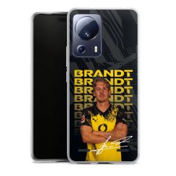 New Carry Case Hülle Transparent