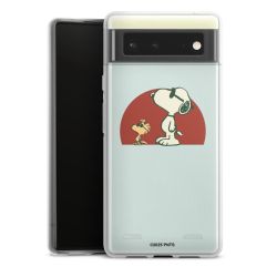 Carry Case Single Transparent