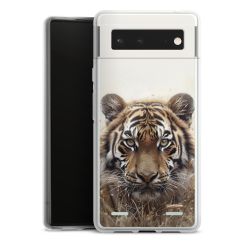 Carry Case Single Transparent