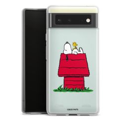 Carry Case Single Transparent