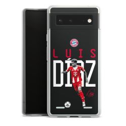 Carry Case Single Transparent