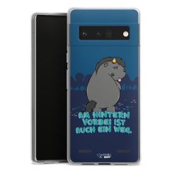 Carry Case Hülle Transparent ohne Band