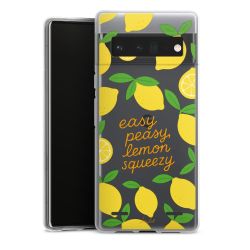 Carry Case Single Transparent