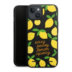 New Carry Case Hülle mattschwarz