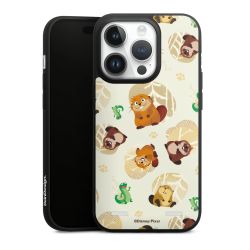 Premium Carry Case Single Matt black