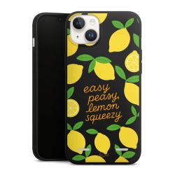 Premium Carry Case Single Matt black