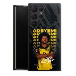 Organic Carry Case Hülle schwarz