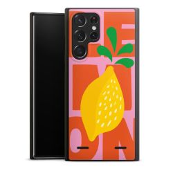 Organic Carry Case Hülle schwarz