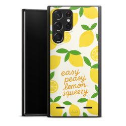 Organic Carry Case Hülle schwarz