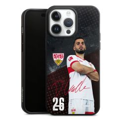 Organic Carry Case Hülle schwarz