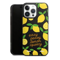 Organic Carry Case Hülle schwarz