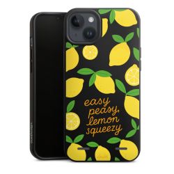 Organic Carry Case Hülle schwarz