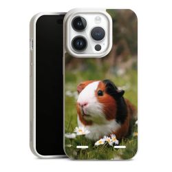 Organic Carry Case Hülle weiss