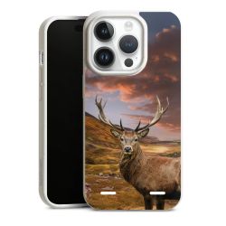 Organic Carry Case Hülle weiss